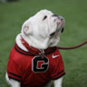 Meet your Posher, Cecil